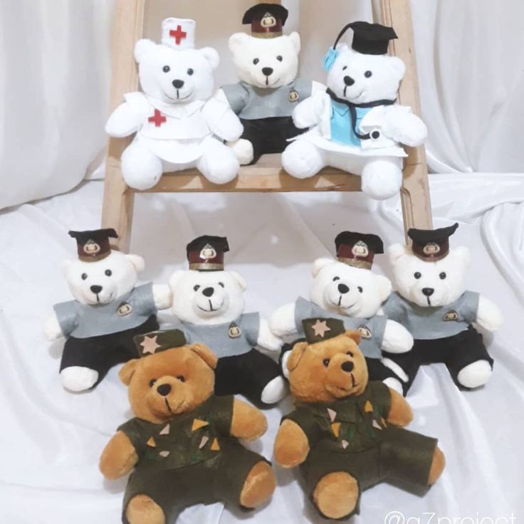 Jual Harga Spesial Boneka Profesi Wisudawan Perawat Bidan Dokter Tni