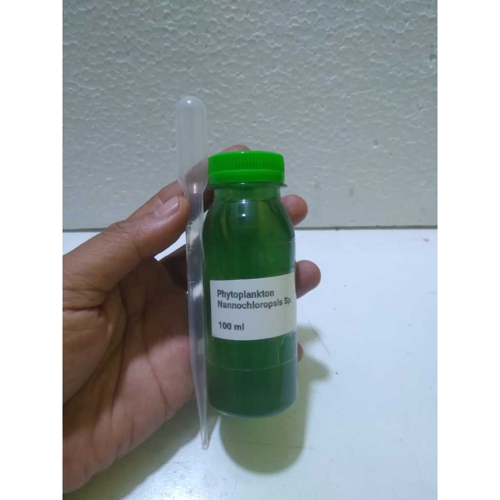 Jual Phytoplankton Nannochloropsis Sp 100 ML Nutrisi Coral Biota