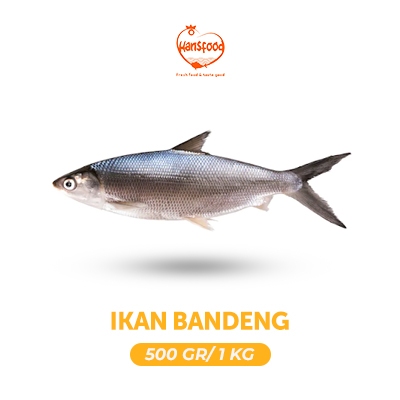 Jual Ikan Bandeng Segar Dan Beku 500 Gr 1 Kg Shopee Indonesia