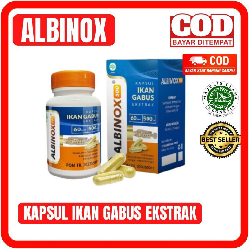 Jual Ekstrak Ikan Gabus Albinox Isi 60 Kapsul Obat Luka Pasca Operasi