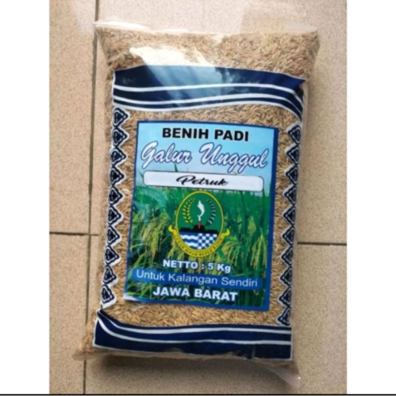 Jual Benih Padi Unggul Petruk Genjah Original Kemasan Kg Shopee