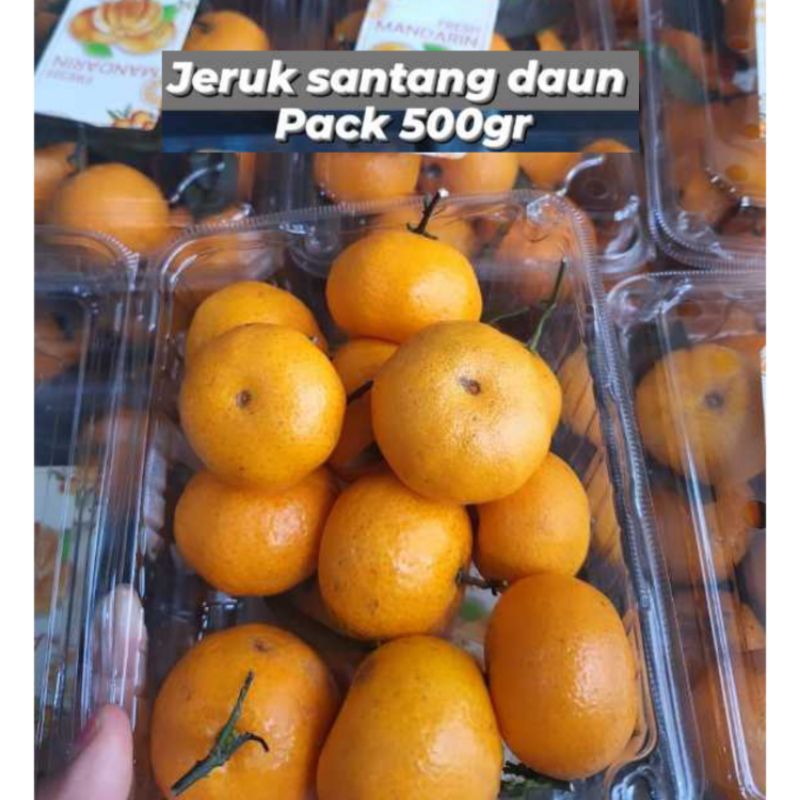 Jual Buah Jeruk Santang Pack Gr Shantang Madu Daun Manis Jeruk