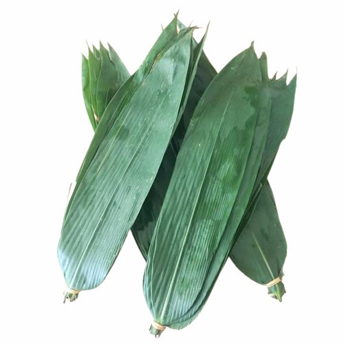 Jual KUKURING Daun Bambu Segar 1 Kg Ukuran Lebar Untuk Bungkus Bakcang