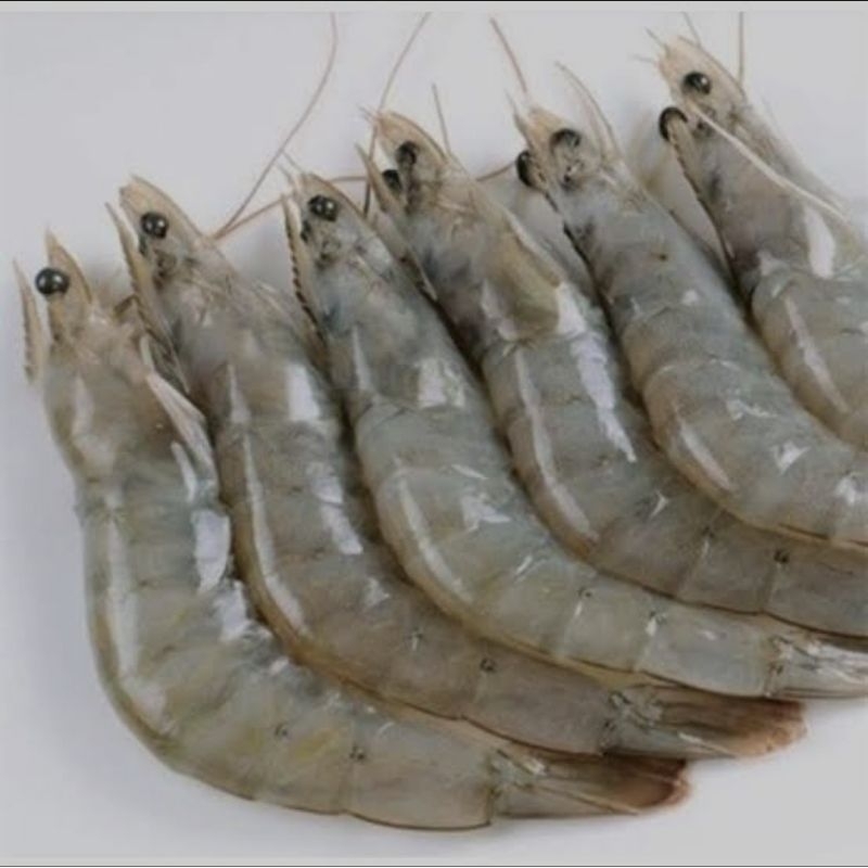 Jual Udang Vaname Super Segar Beku Bandung Kg Shopee Indonesia