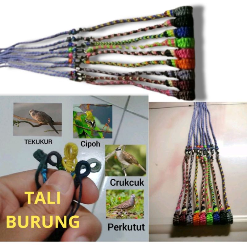 Jual TALI BURUNG TALI PERKUTUT TALI BURUNG TEKUKUR TALI BURUNG BALAM