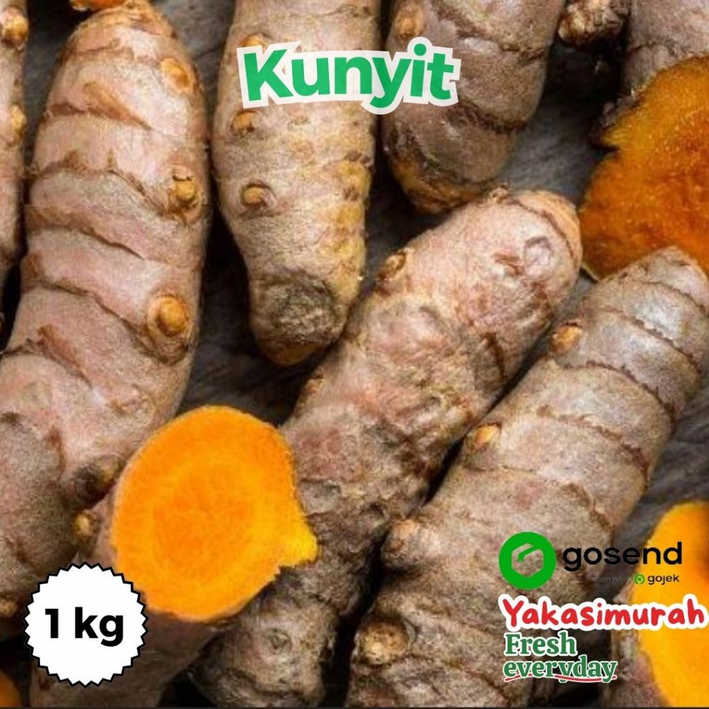 Jual Kunyit Kuning Kunti Segar Fresh Kg Shopee Indonesia