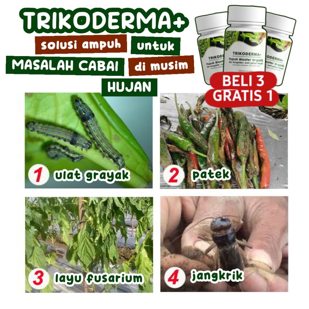 Jual ALFAGREEN Trikoderma Fungisida Obat Patek Cabai Dan Busuk Buah