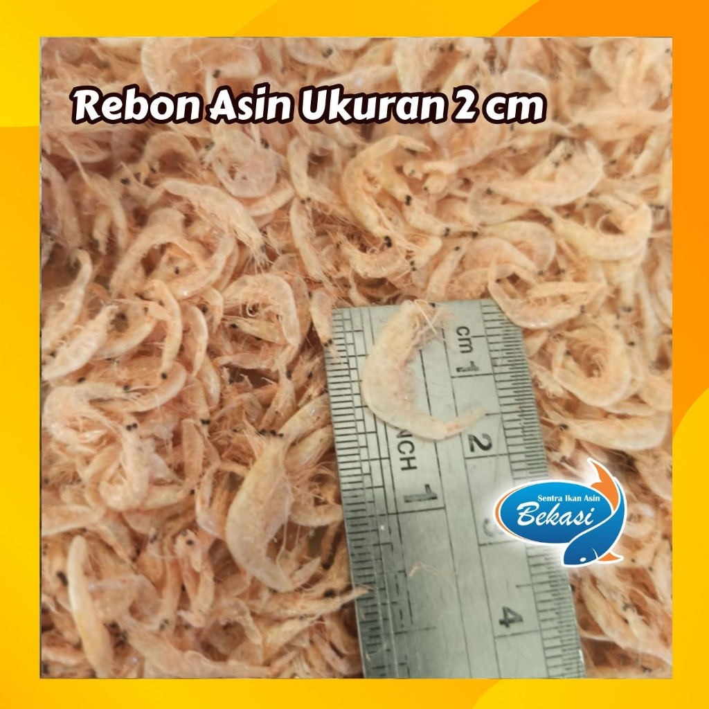 Jual Udang Rebon Asin Kg Ukuran Cm Shopee Indonesia