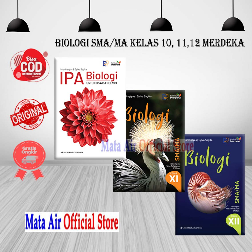 Jual Ipa Biologi Sma Ma Kelas Kurikulum Merdeka Erlangga