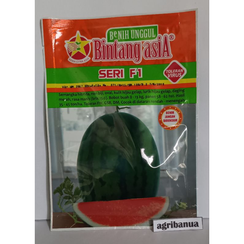 Jual Benih Semangka Merah NON Biji SERI F1 20 Gr Bintang AsiA Shopee