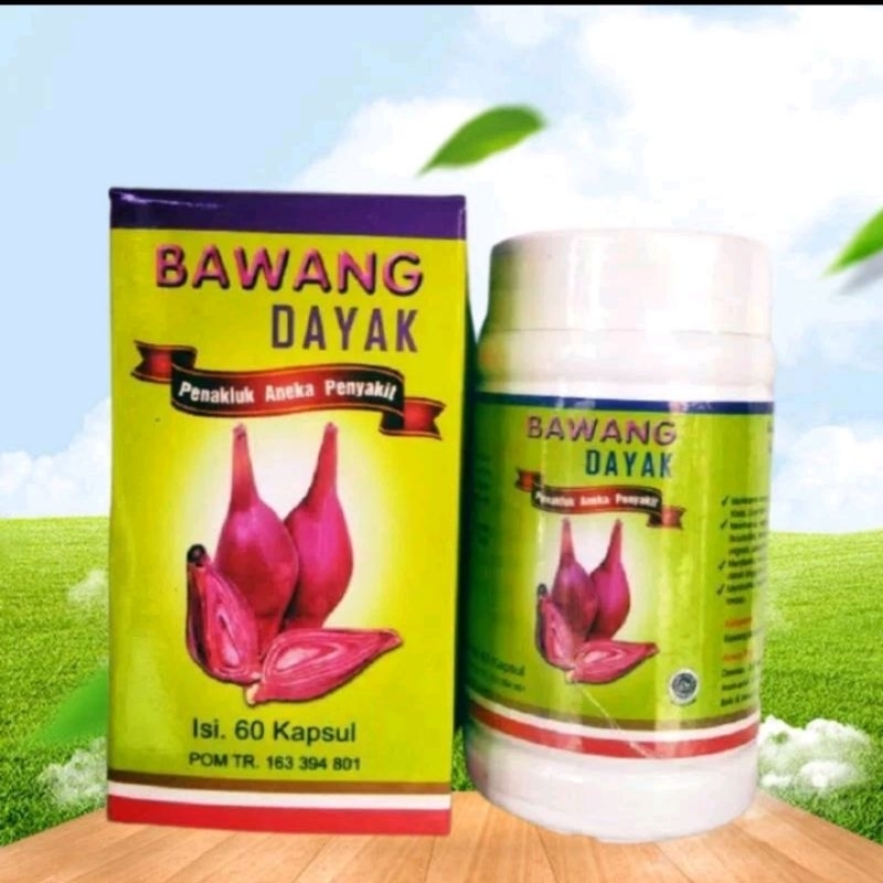 Jual Bawang Dayak Kapsul Obat Herbal Penakluk Aneka Penyakit