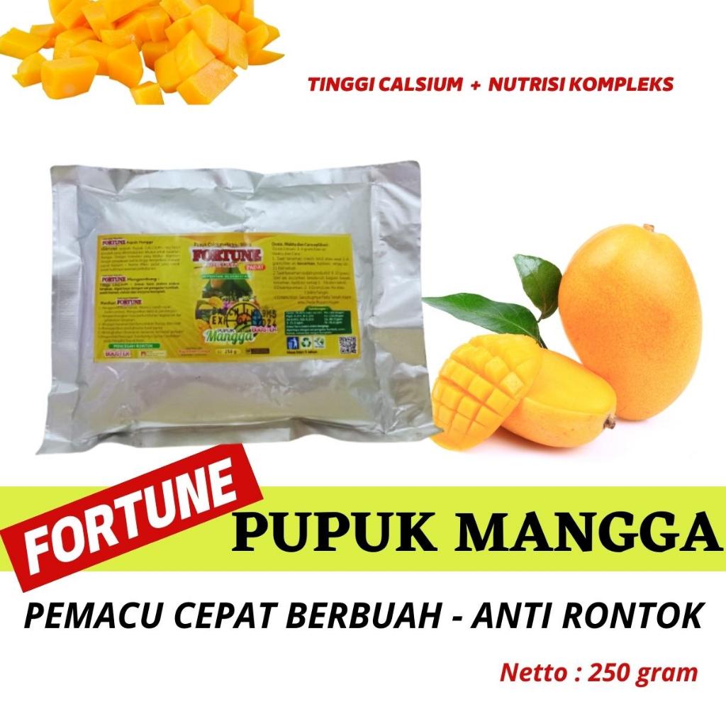 Jual Pupuk Buah Mangga Cepat Buah Pupuk Booster Mangga Agar Berbuah