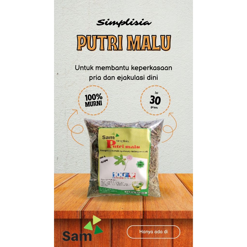 Jual Teh Daun Putri Malu Kering Gram Simplisia Daun Putri Malu