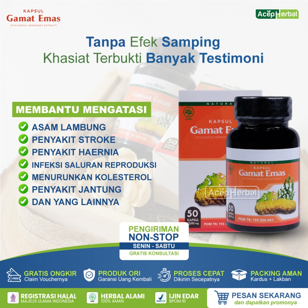 Jual Kapsul Gamat Emas Ekstrak Teripang Emas Obat Herbal Multikhasiat