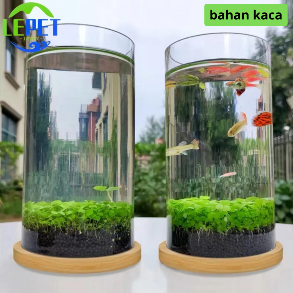 Jual Lepet Aquarium Mini Kecil A A Akuarium Ikan Cupang Hias