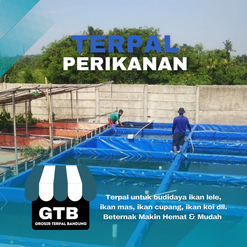 Jual Terpal Kolam Perikanan Budidaya Ikan Nila Lele Patin UKURAN CUSTOM