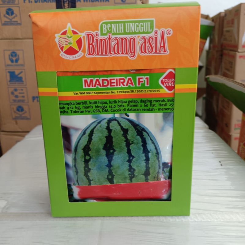 Jual Benih Semangka Hibrida Merah Berbiji Madeira F Kms Gr