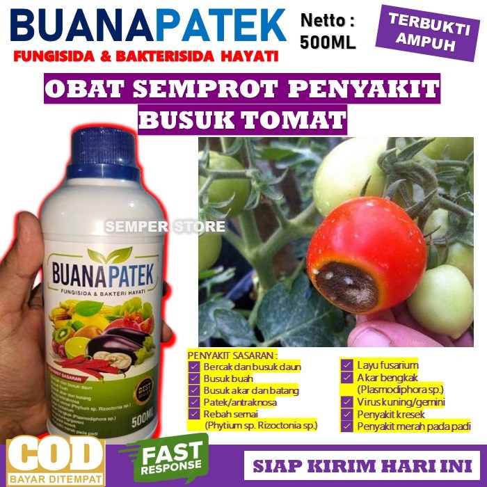 Jual Obat Busuk Buah Tomat Ampuh Fungisida Bakterisida Hayati