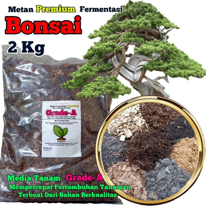 Jual Metan Grade A Media Tanam Bonsai Kg Premium Fermentasi Mix