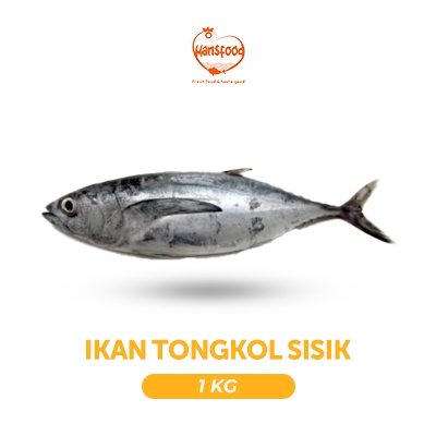 Jual Ikan Tongkol Sisik Fresh Dan Frozen 1kg Shopee Indonesia