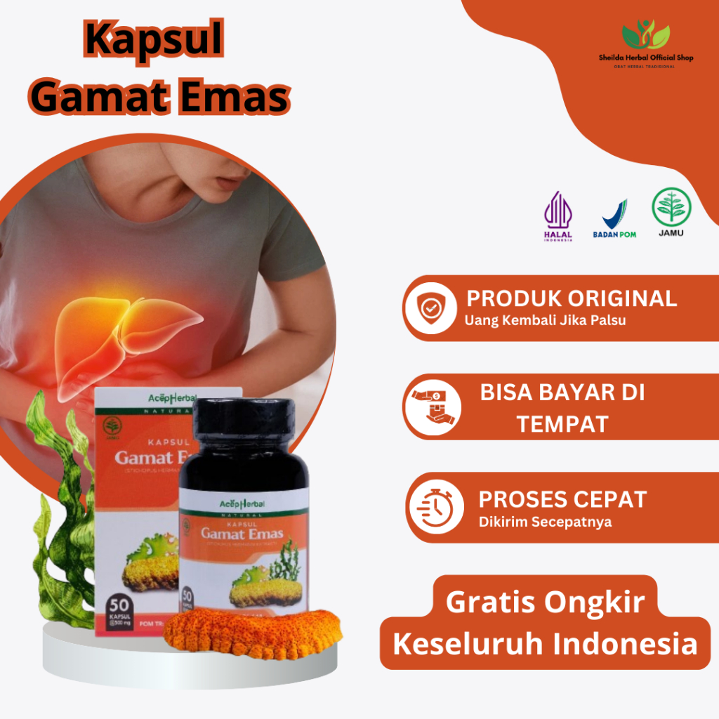 Jual Obat Liver Perut Bengkak Gangguan Liver Hepatitis A B Dan C