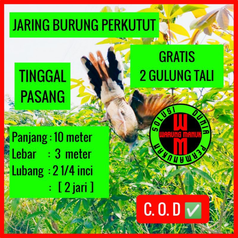 Jual Jaring Burung Perkutut Meter Jaring Kutot Siap Pakai Jaring