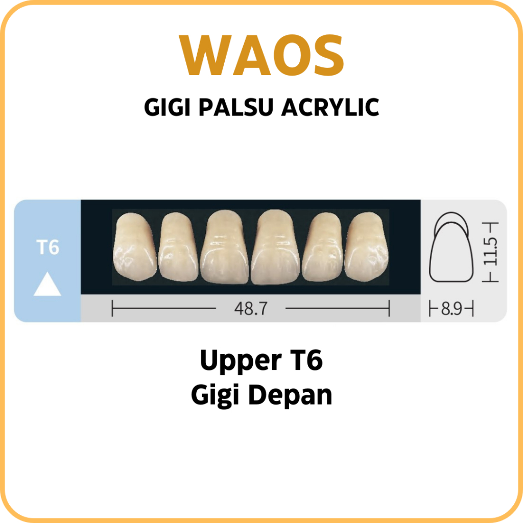 Jual Gigi Merek Waos Resin Teeth Anterior Depan Gigi Palsu Acrylic