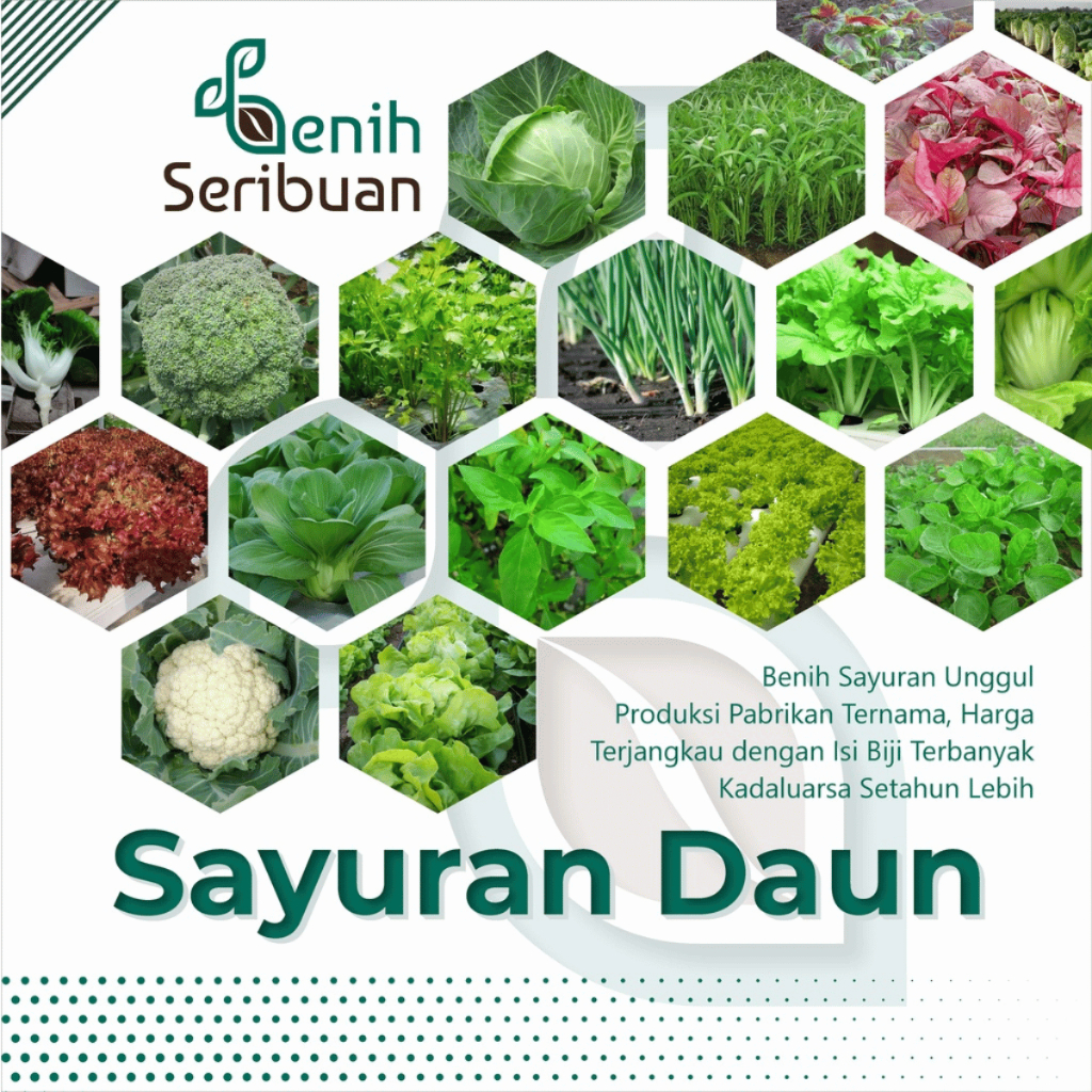 Jual BENIH SERIBUAN Aneka Bibit Sayuran Daun Sayur Hidroponik Varian