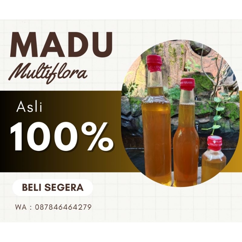 Jual Madu Multiflora Raw Honey Asli Shopee Indonesia