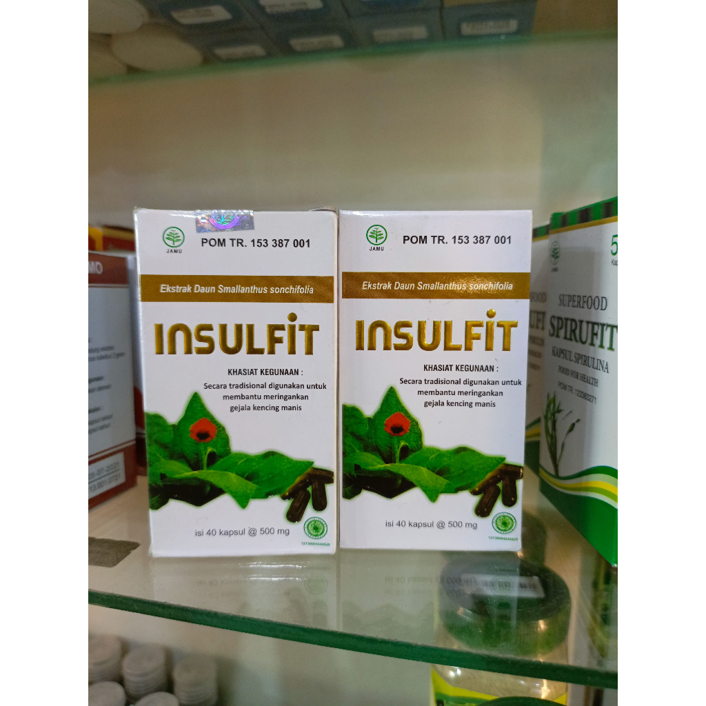 Jual Insulfit Isi 40 Kapsul Ekstrak Daun Insulin Obat Herbal Diabetes