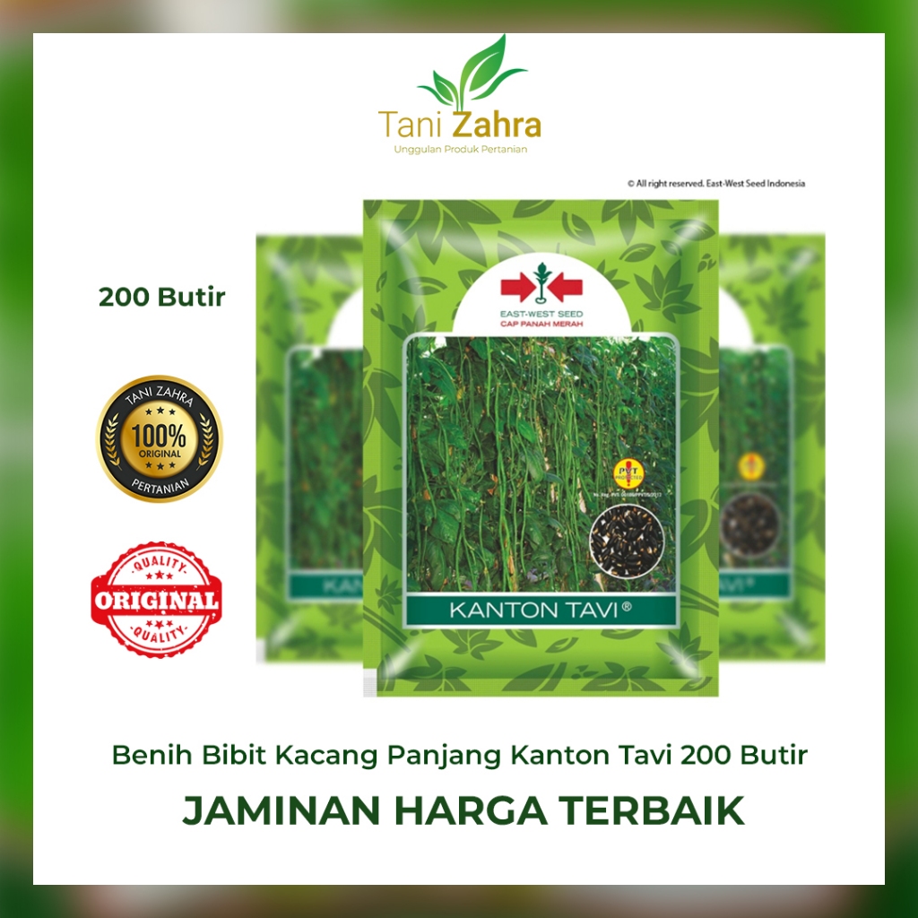 Jual Benih Bibit Kacang Panjang Kanton Tavi 200 Butir Original Cap