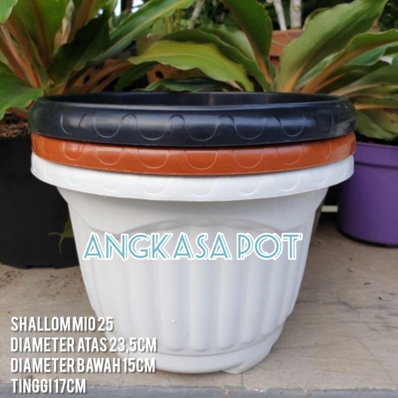 Jual Pot Bunga SHALLOM MIO 25 Pot Model Belimbing Pot Cantik Tebal Kuat