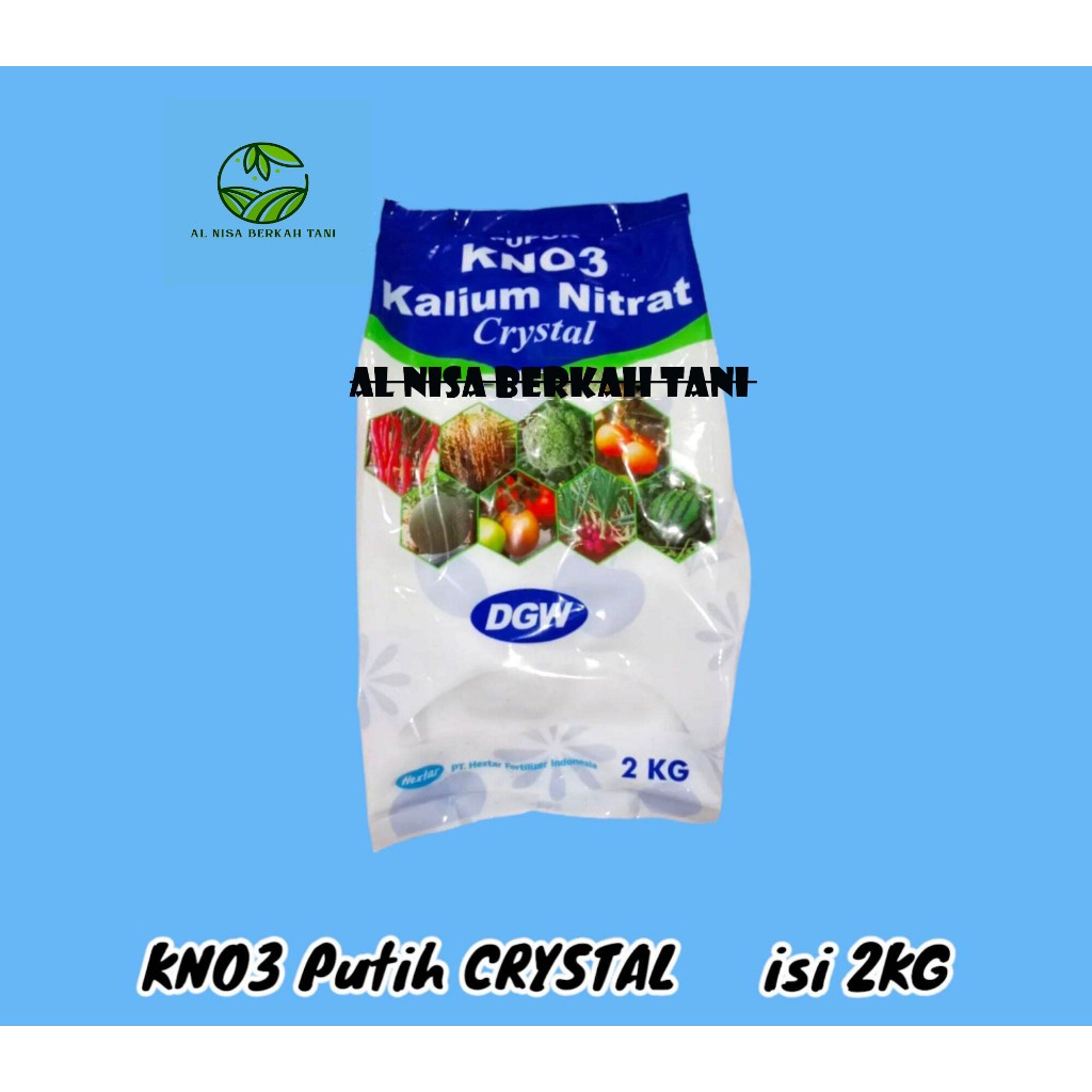 Jual PUPUK KNO3 PUTIH KRISTAL 2 KG KEMASAN PABRIK DGW Shopee Indonesia