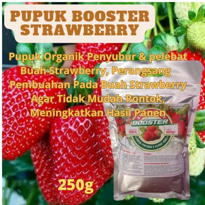 Jual Pupuk Booster Strawberry Organik Gr Pupuk Organik Perangsang