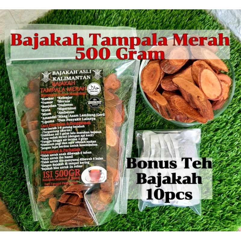 Jual Bajakah Tampala Merah Isi 500gr Asli Kalimantan Shopee Indonesia