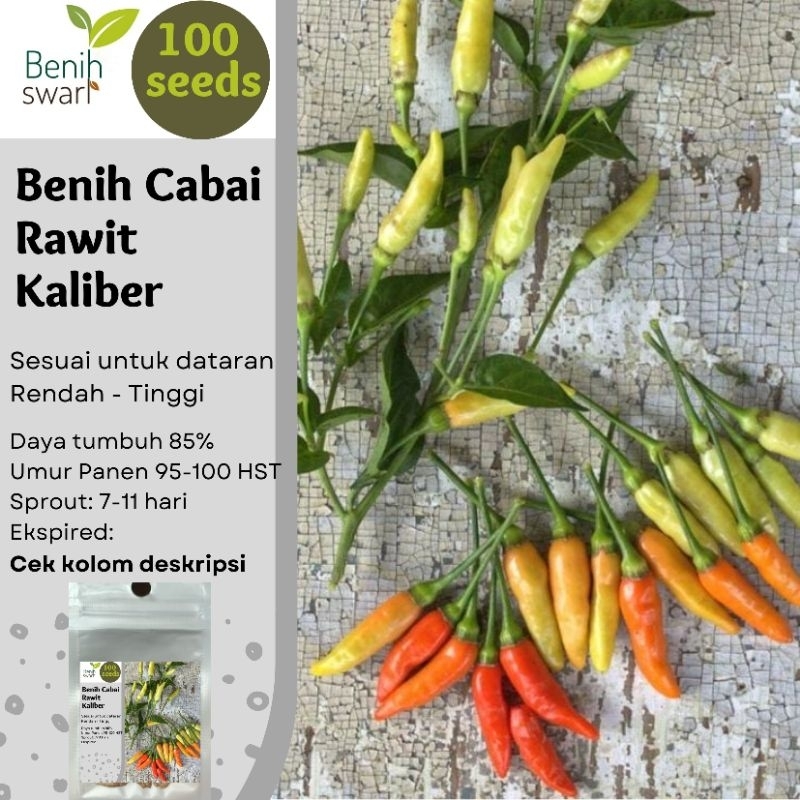 Jual Benih Swari Isi 100 Butir Benih Cabe Cabai Rawit Kaliber