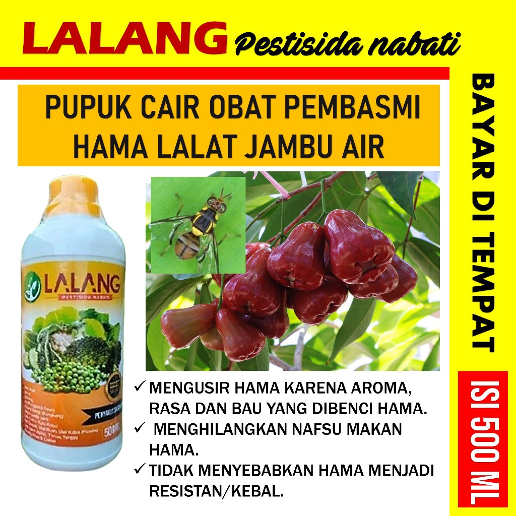 Jual Lalang Insektisida Pestisida Organik Obat Hama Pembasmi Lalat Buah