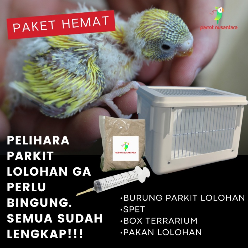 Jual Paket Murah Burung Lolohan Box Terrarium Pakan Spet Shopee Indonesia