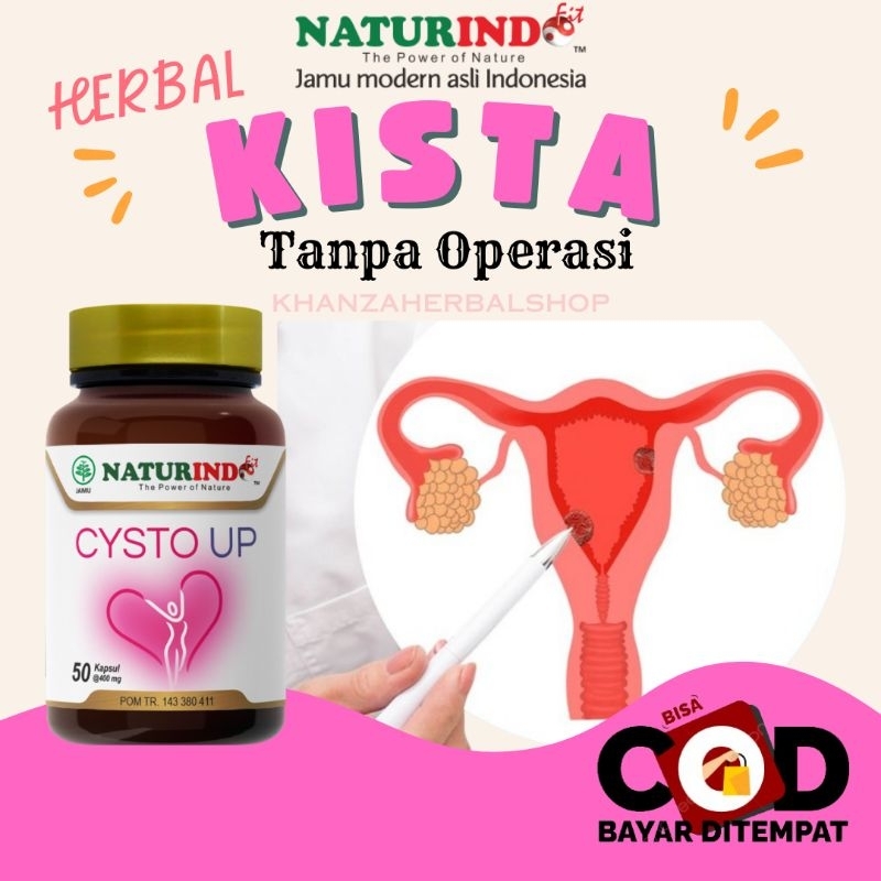 Jual Obat Kista Ovarium Paling Ampuh Tanpa Operasi Kista Bartholin Obat