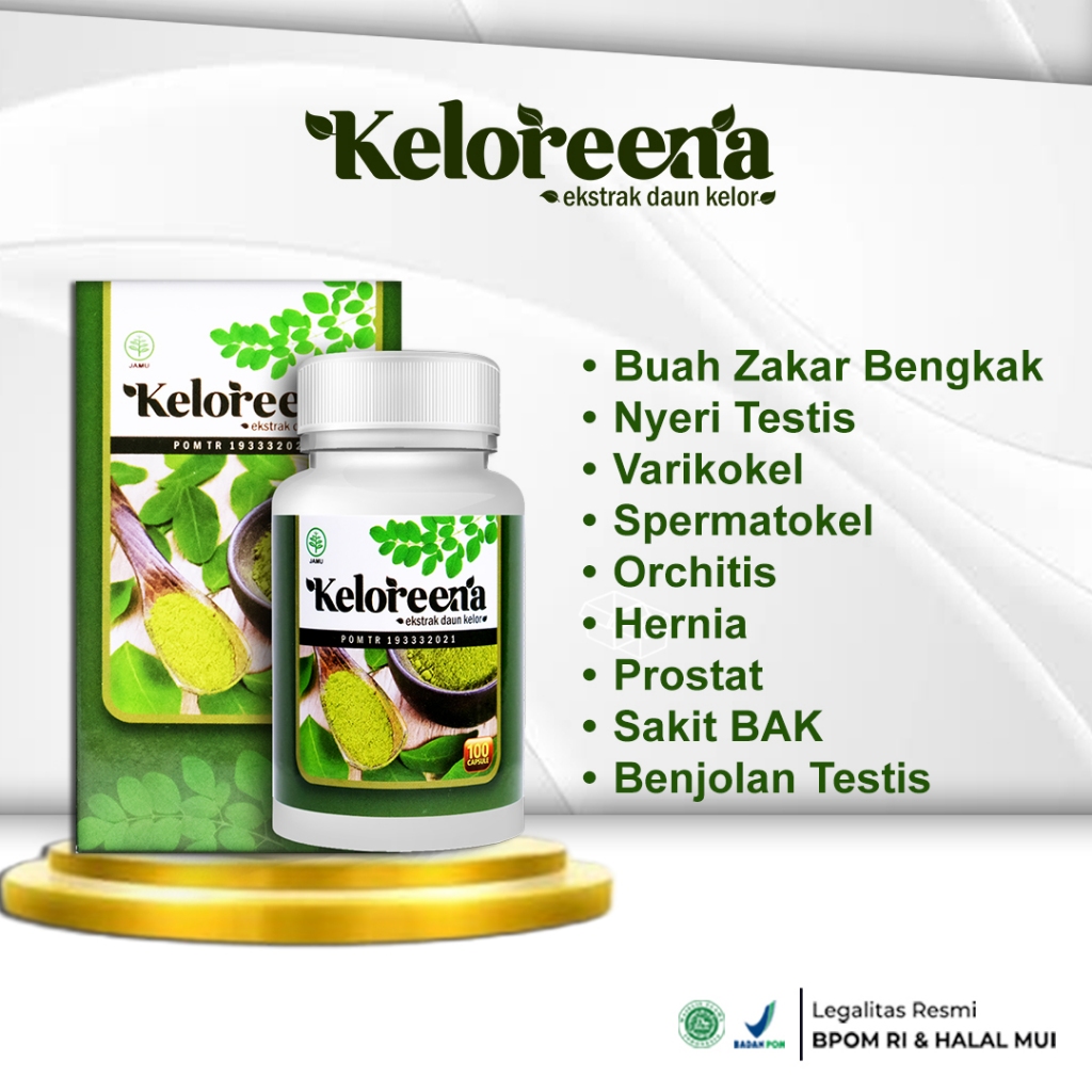 Jual Keloreena Obat Buah Zakar Bengkak Varikokel Hernia Spermatokel