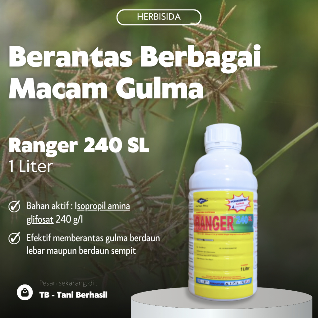 Jual Herbisida Ranger 240SL 1 Liter Obat Rumput Liar Shopee Indonesia