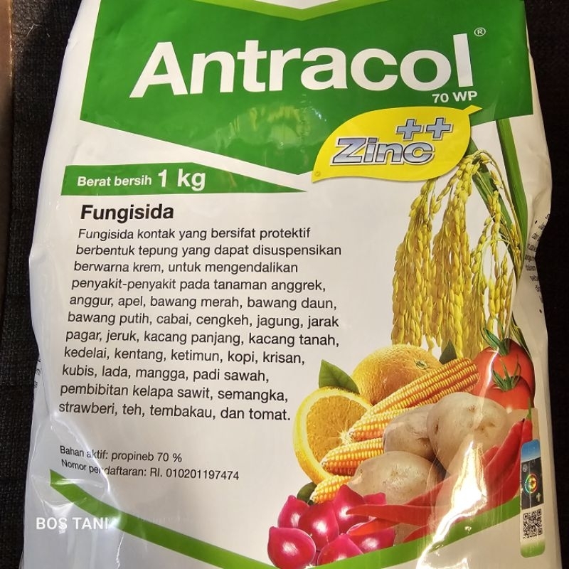 Jual Fungisida Antracol Gr Kemasan Original Pabrik Shopee Indonesia