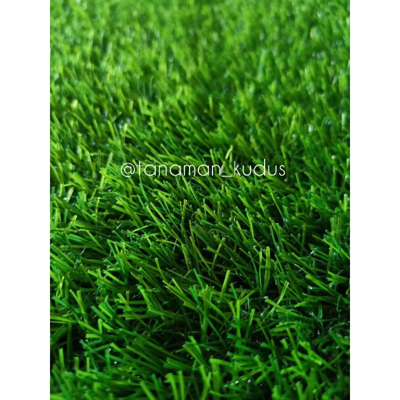 Jual RUMPUT SINTETIS SWISS FULL HIJAU UKURAN 25x100cm Tebal 2 Cm