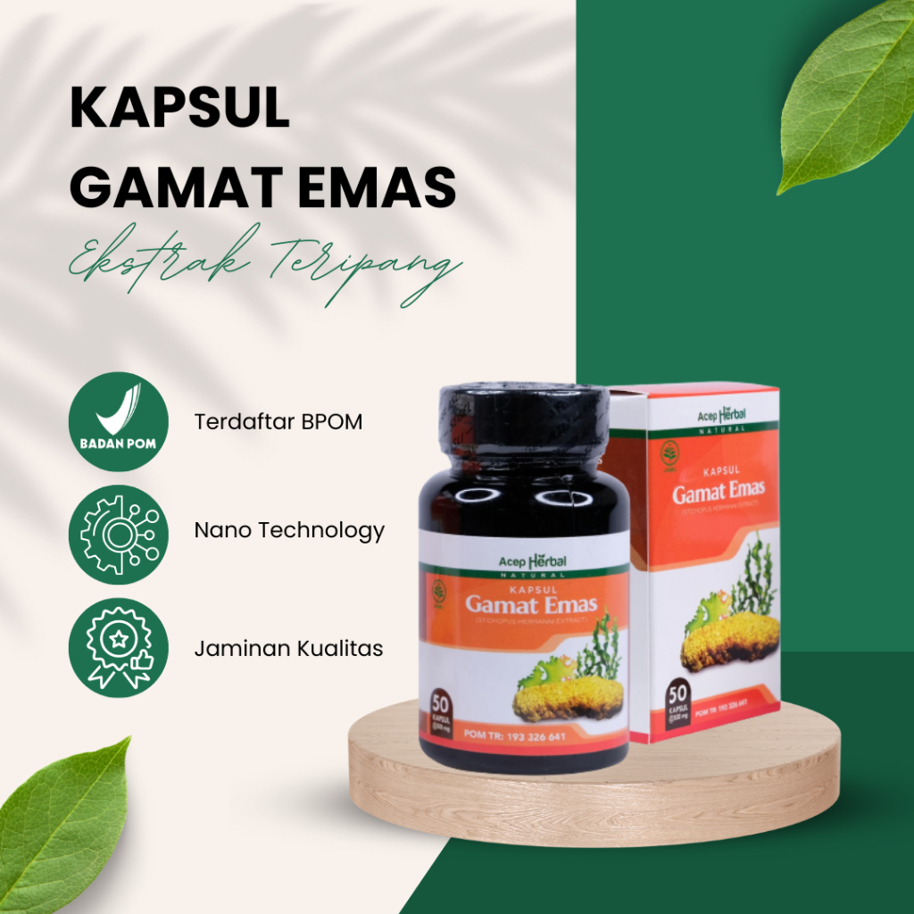 Jual Kapsul Gamat Emas Acep Herbal Goldmax Jaminan Original