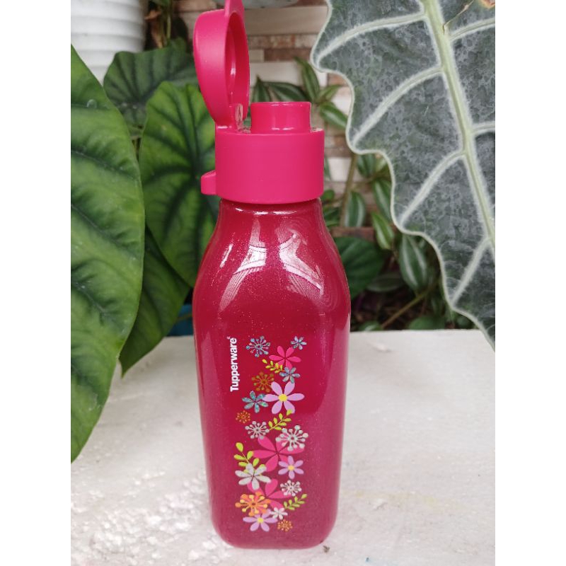 Jual Eco Bottle 500 Ml Eco Botol 500 Ml Tupperware Eco Botol Square