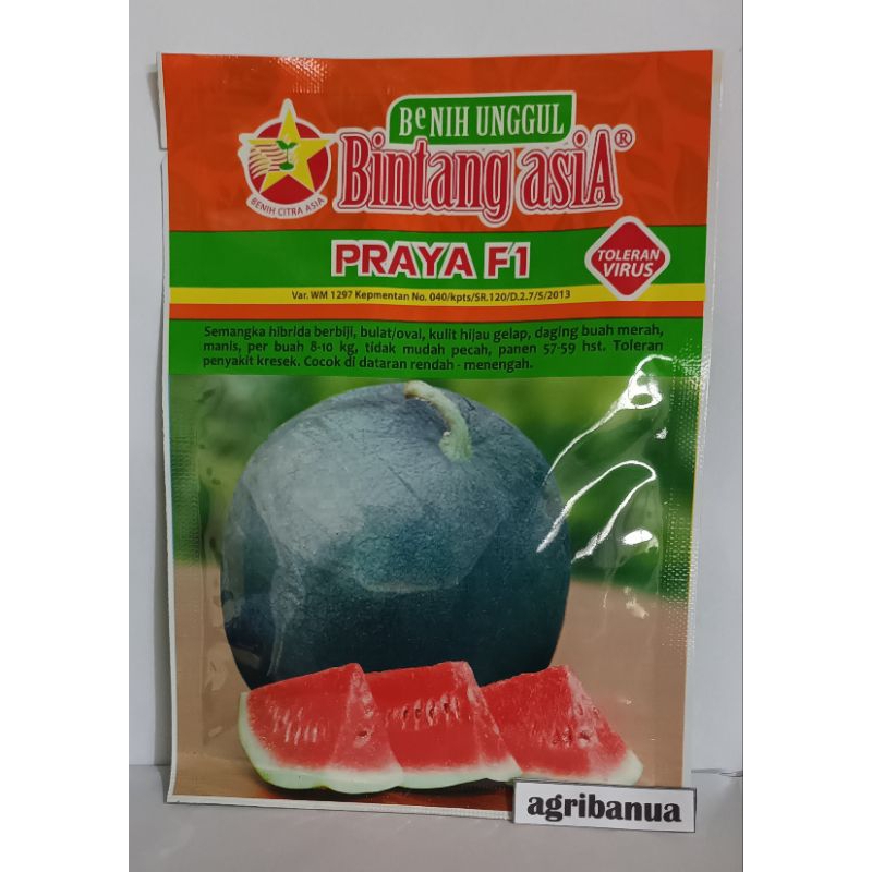 Jual Benih Semangka Merah PRAYA F1 20 Gr Bintang AsiA Shopee Indonesia