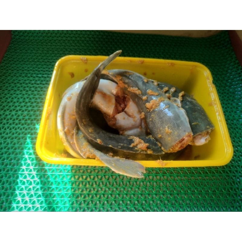 Jual Ikan Lele Segar Kg Shopee Indonesia