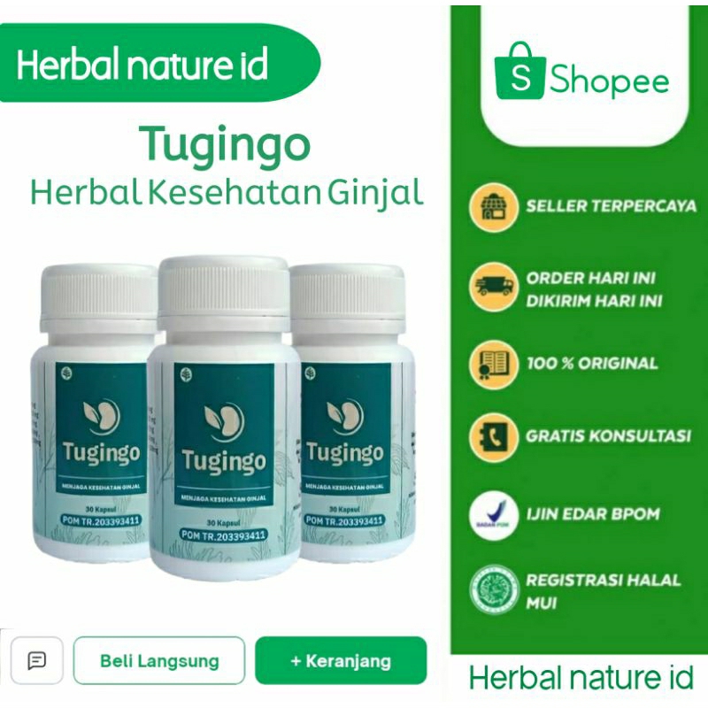 Jual Tugingo Obat Herbal Atasi Batu Ginjal Ginjal Kronis Ginjal Bocor