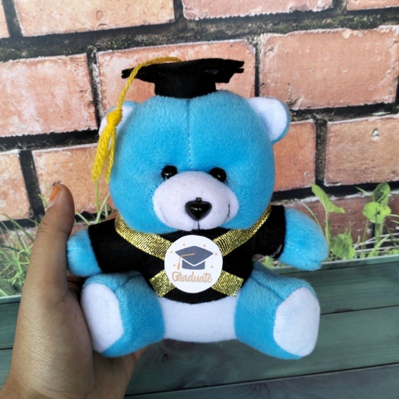 Jual Boneka Wisuda Teddy Bear Beruang Buket Tinggi15 Cm Shopee Indonesia