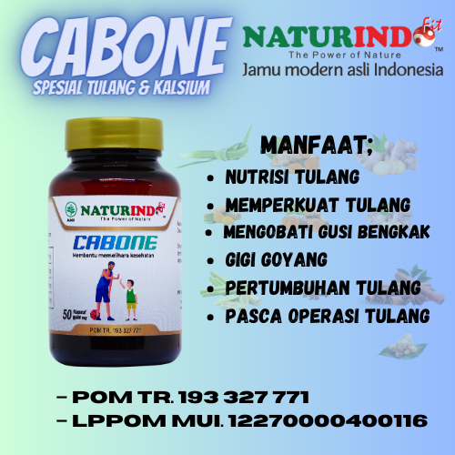 Jual Cabone Obat Patah Tulang Retak Kalsium Jamu Herbal Naturindo